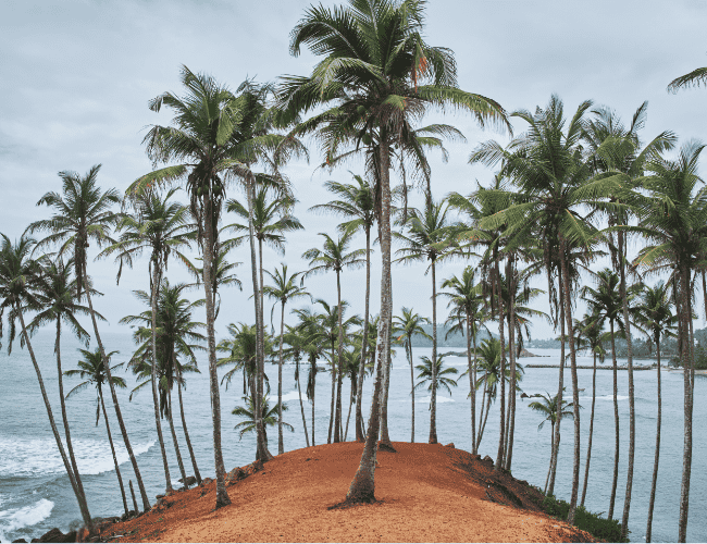 Beach front land
